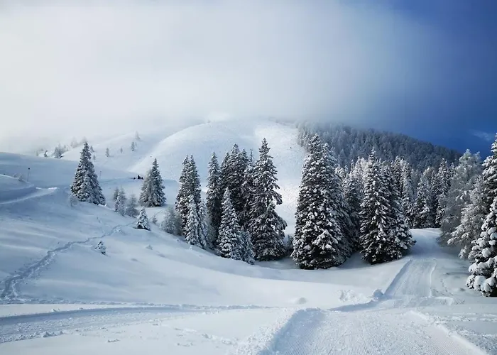 Apartamento Vacation Jule